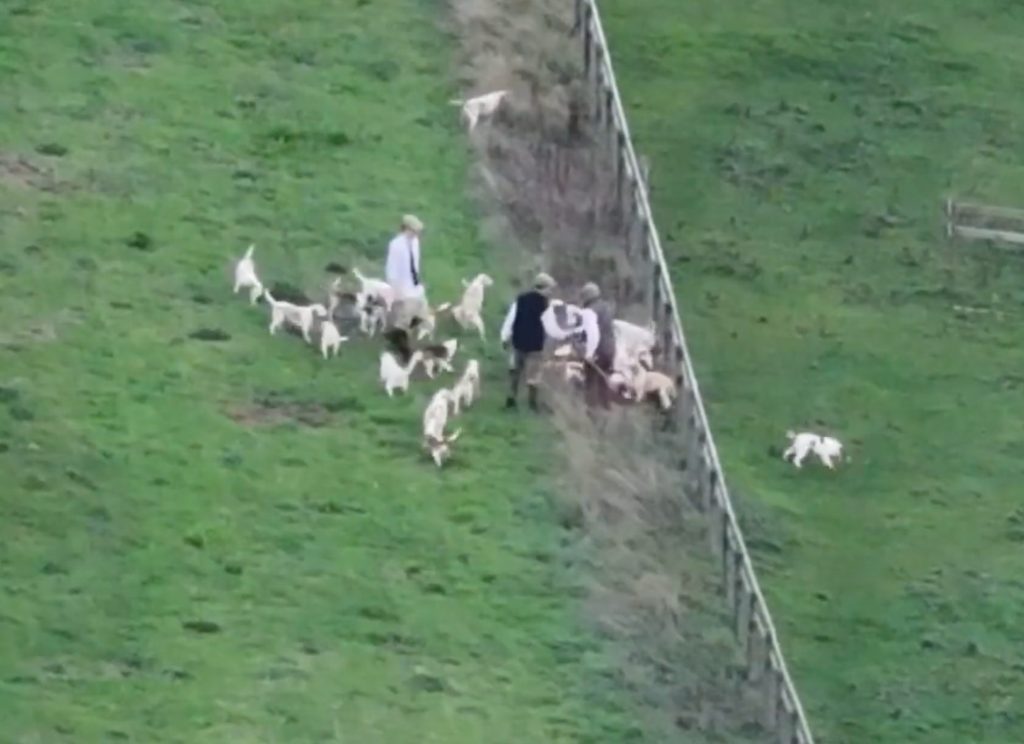 Private School Hunt Guilty of Killing Hare
